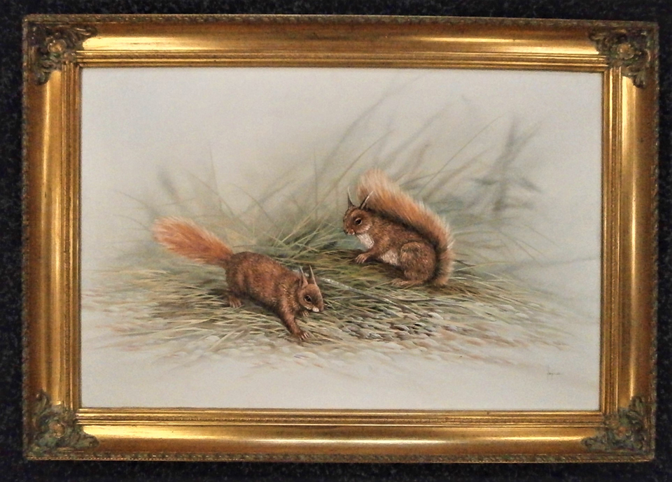 Red Squirrels - Oil on Canvas